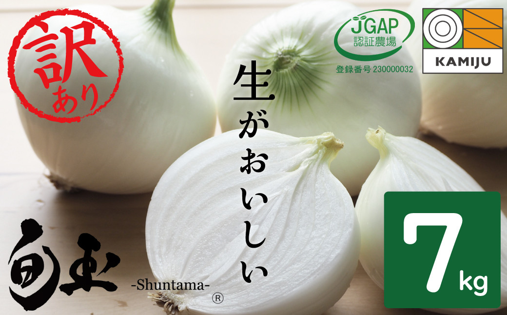 
訳あり　新玉ねぎ　生がおいしい　神重農産のブランド玉ねぎ「旬玉」7kg ブランド玉ねぎ 玉ねぎ 国産 愛知県産 野菜 やさい 農家直送 畑直送 旬 期間限定 たまねぎ 先行予約 旬 特産 高評価 高リピート 人気　H105-109
