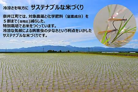 【定期便12回】北海道奈井江町　特別栽培米　ゆめぴりか　5kg