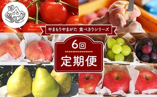 【先行予約 2026年度発送】《食べきりシリーズ》～6回定期便～ FSY-2337