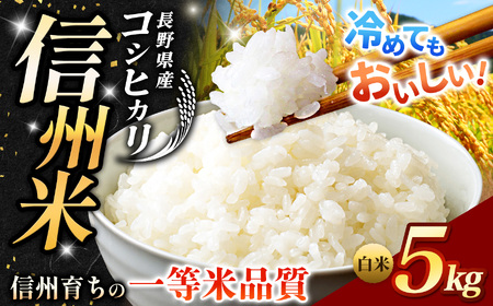 《 信州育ちの一等米品質 》長野県産 こしひかり 白米 約5kg | りんりん市場