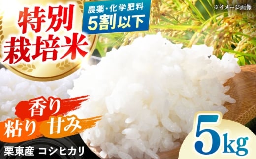 令和7年度産 栗東産 特別栽培米 コシヒカリ 5kg / ご飯 ごはん ゴハン 新米 令和7年産 / 栗東市 / レーク滋賀農業協同組合[BIBV007]