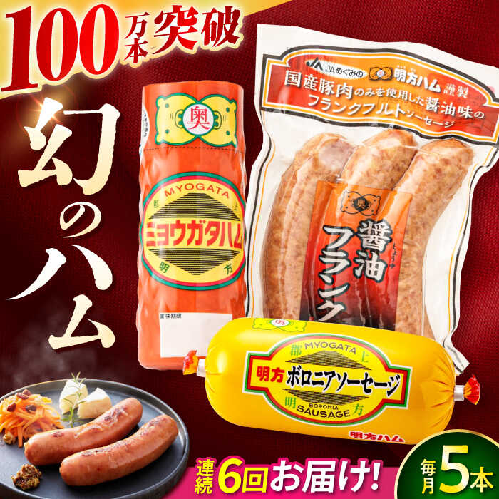 【ふるさと納税】【6回定期便】明方ハム詰め合わせ Aセット / 明方 ハム 厚切り ボロニアソーセージ ハムステーキ 朝食 フランクフルト ウインナー BBQ ソーセージ フランク 箱入り ギフト / 御嵩町 / めぐみの農業協同組合[AVBA004]