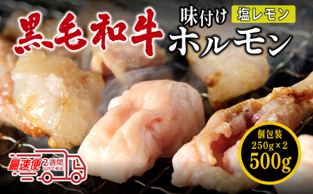 国産黒毛和牛 タレ漬けホルモンミックス塩レモン 250g x 2袋 おいしいホルモン グルメホルモン やっぱりホルモン ホルモン 焼肉用 肉 小分け 冷凍 ギフト 大容量 MSK021