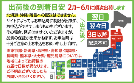 おためし 予約 数量限定 アスパラ LM サイズ 400g 朝採り 直送 グリーンアスパラガス 朝採れ 【2025年2月から6月お届け】 BT12