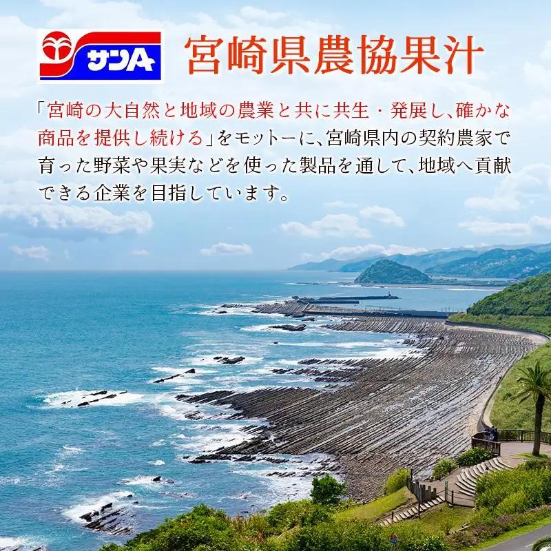 【定期便 6か月】 霧島山麓の天然水 590ml×24本入 6回 サンＡ ミネラルウォーター 飲料水 常温保存 宮崎
