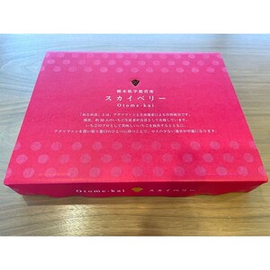 【先行予約】スカイベリー 約390g～430g×2パック | いちご 栃木 スカイベリー 大粒 大きい いちご 苺 イチゴ 栃木 果物 甘い 評判 鮮度 抜群 好評 人気 アレンジ アフター対応あり※