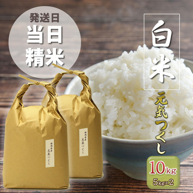 【ふるさと納税】米 元気つくし 10kg (5kg×2袋) 特A米 特a 発送当日精米 精米 白米 お米 おこめ こめ コメ ご飯 ごはん 単一原料米 福岡 福岡県 小郡市