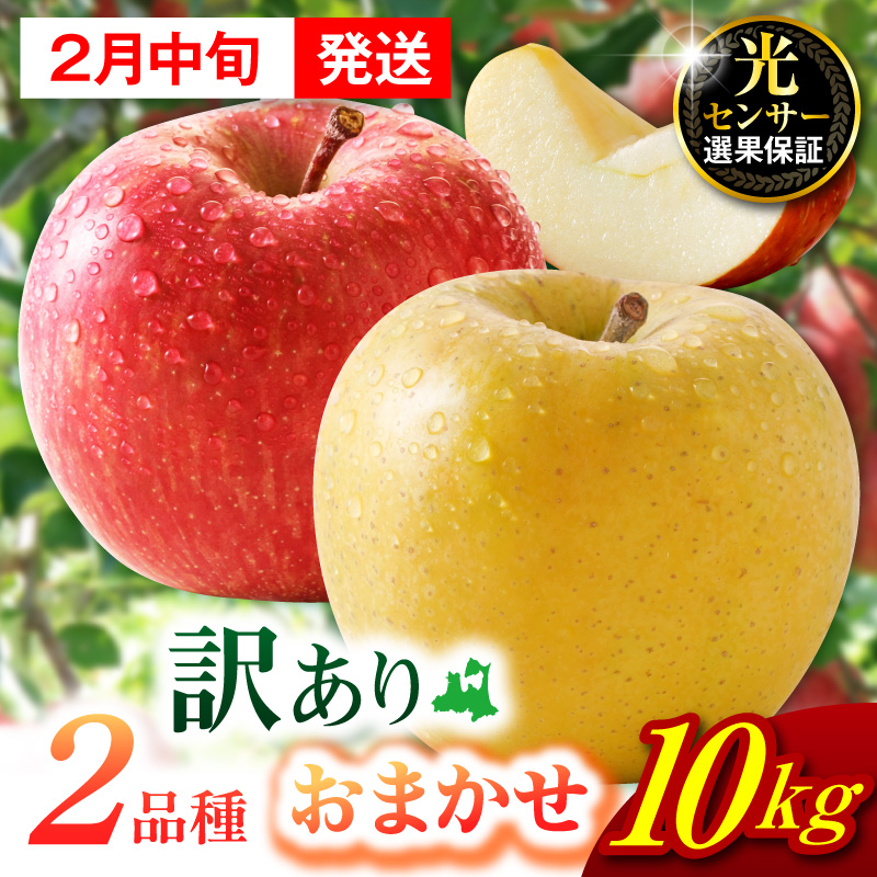 【2026年2月中旬発送】 【訳あり】 旬の美味しい りんご 約10kg 青森産 【おまかせ2品種】