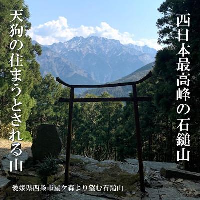 ふるさと納税 西条市 【広葉樹の薪+針葉樹の薪のセット】天狗の薪【アウトドアや薪ストーブなどに】 |  | 01