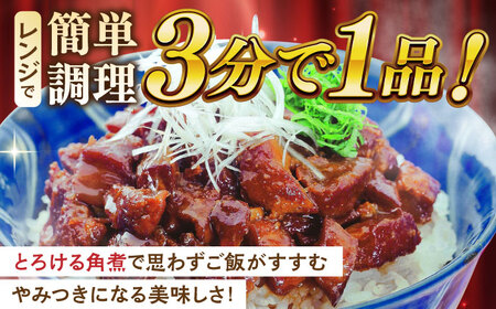 【全12回定期便】長崎角煮まぶし10袋【株式会社岩崎食品】[QBR036]