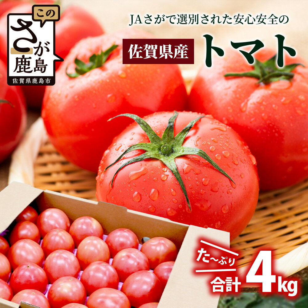 【ふるさと納税】先行予約 JAトマト 約4kg | ふるさと とまと 野菜 やさい 大容量 日持ち良好 新鮮 朝採れ 旬 センサー選別 安心安全 産地直送 人気 佐賀県 鹿島市 送料無料 【3月上旬～5月下旬出荷予定】B-805