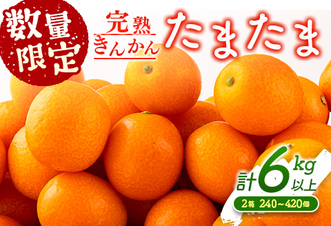 先行予約 数量限定 完熟きんかん たまたま 計6kg以上 (3kg×2箱) フルーツ 果物 くだもの 柑橘 金柑 国産 食品 期間限定 大粒 宮崎ブランド 希少 おすすめ デザート おやつ ギフト 贈り物 贈答 お返し お祝い おすそ分け 産地直送 日南市 送料無料 南郷包装たまたま_DC8-23