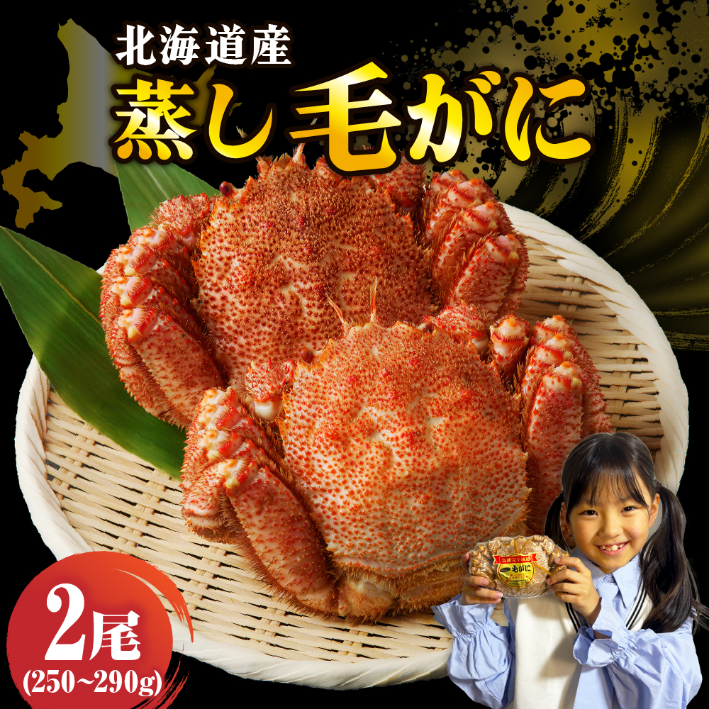 北海道産活蒸し毛蟹約250g〜約290g×2尾【er001-108-b】