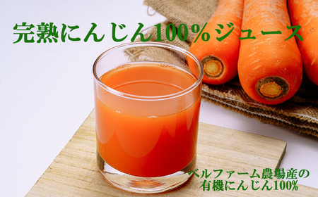 【6ヵ月連続お届け】にんじんジュース 100% 100g×30袋 にんじん