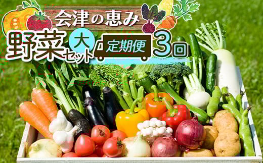 会津発　季節の野菜だより（大）定期便3回　【07208-0263】