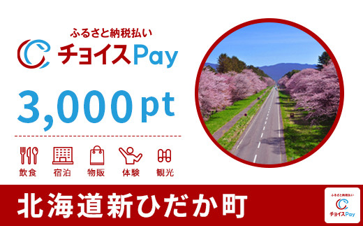 
                  新ひだか町チョイスPay 3,000pt【会員限定のお礼の品】
                