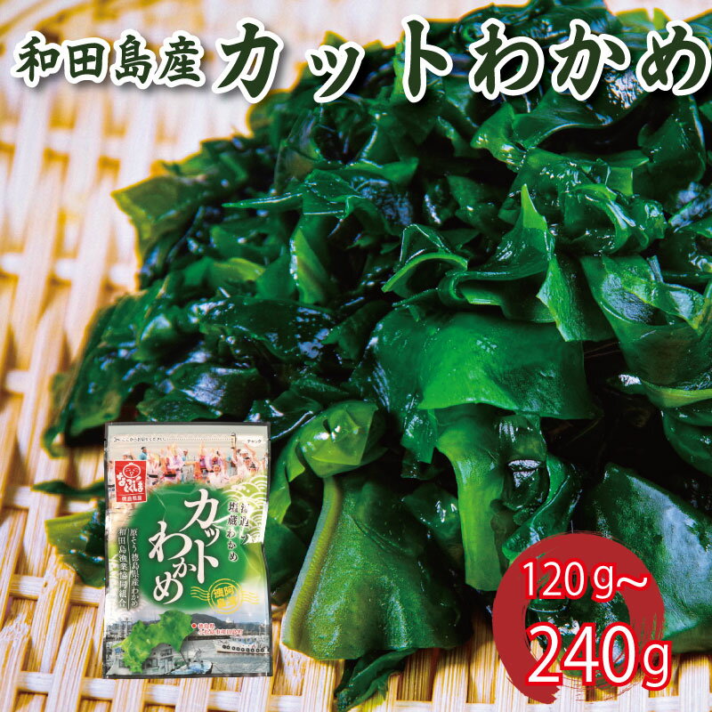 【ふるさと納税】 わかめ 120g~240g 和田島わかめ カットわかめ 乾燥わかめ 塩蔵わかめ 生わかめ 湯通し 国産 味噌汁 みそ汁 サラダ 酢の物 スープ 選べる 内容量 保存食 健康食品 家庭用 人気 おすすめ グルメ うどん 佃煮 海苔 海藻 のり 海産 小分け 徳島 小松島 和田島