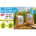 【ふるさと納税】【令和6年産・白米】近江米10kg「ミルキークイーン」精米後約9kg（約4.5kg×2）｜彦根 ひこね 滋賀 おすすめ コメ お米 米 こめ 10キロ