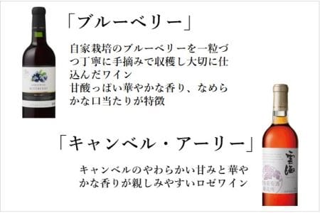 雲海ワインセット5種 国産100％ 赤 白 飲み比べ【雲海酒造】_A0114-061