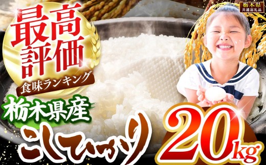 【先行予約】栃木県産コシヒカリ白米 20kg【栃木県共通返礼品】