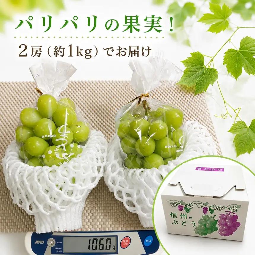 シャインマスカット 約1kg【農家直送】| 仲田農園
