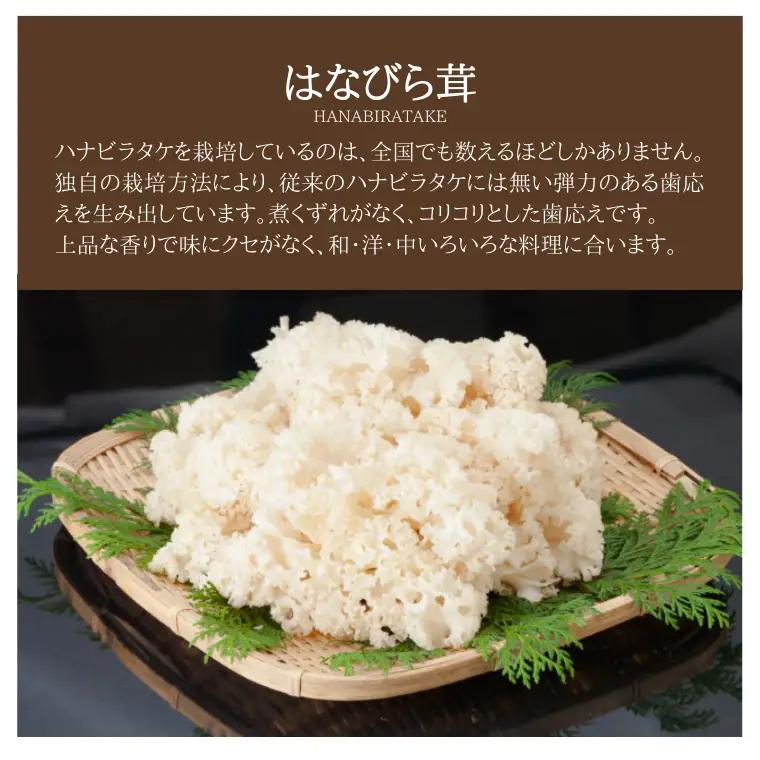 きのこ の 詰め合わせ Lサイズ 約2000g【茨城県共通返礼品 城里町】 キノコ 舞茸 あわび茸 たもぎ茸 しいたけ 花びら茸 [CX003sa]