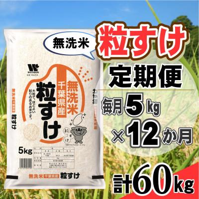 ふるさと納税 大網白里市 【毎月定期便】粒すけ 無洗米 5kg (5kg×1袋)全12回