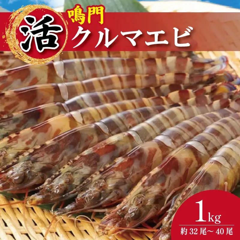 【指定日必須】 活き車海老 1kg 約32尾～40尾 クルマエビ