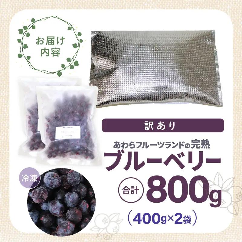 【先行予約】【訳あり】【冷凍】あわらフルーツランドのブルーベリー たっぷり 800g 便利な400g×2袋 【完熟】 / フルーツ 果物 くだもの 冷凍 小分け 完熟 ご当地 国産 おすすめ ※202