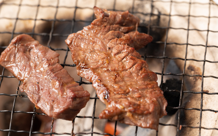 【数量限定】 タレ漬け 牛ハラミ 700g 醤油ベース ( 焼肉 バーベキュー 醤油 味付け 牛肉 惣菜 牛 ハラミ 八代市 人気 ふるさと納税 )