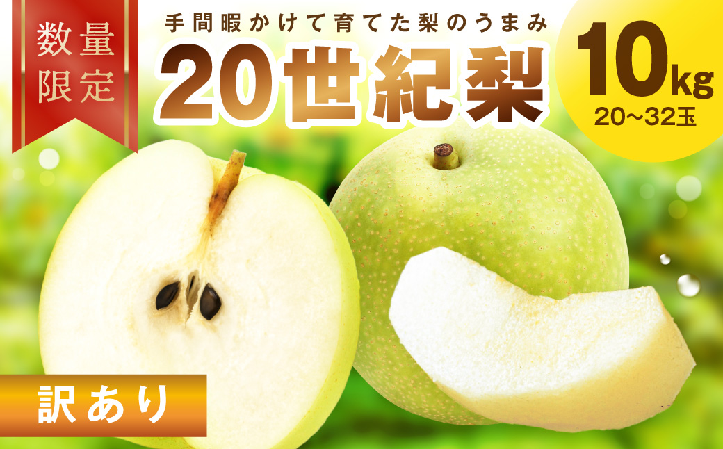 【先行予約／数量限定30】訳あり 廿世紀梨 10kg（2026年9月上旬～発送）　FK00030