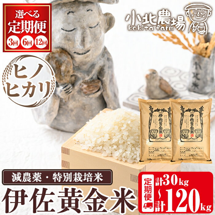 【ふるさと納税】《数量限定・選べる配送回数》令和7年産 小北農場のお米 伊佐黄金米〈ヒノヒカリ〉(5kg×2袋×3回/6回/12回) 鹿児島 伊佐 お米 30kg 60kg 120kg 定期便 3回 6回 12回 特別栽培米 伊佐米 白米 ヒノヒカリ ひのひかり ごはん 【小北農場】