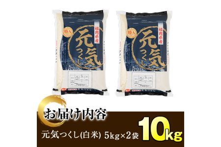＜令和7年産＞福岡県産ブランド米「元気つくし」白米(計10kg・5kg×2袋)お米 10キロ ごはん ご飯【ksg0378】【朝ごはん本舗】