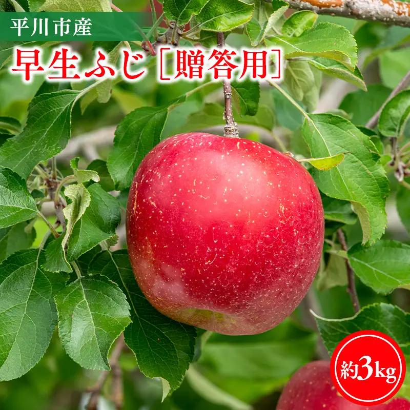 りんご 贈答用 早生ふじ3kg りんご