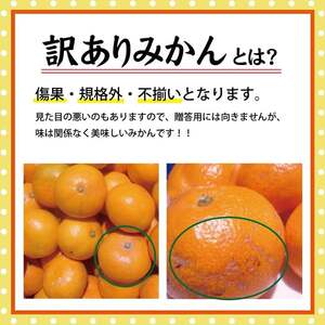 【訳あり】有田みかん 5kg | 農家直送 訳あり ご家庭用 サイズ混合 光センサー選別 温州みかん みかん 訳あり わけあり 家庭用 ※2024年10月中旬～2025年1月上旬頃に順次発送予定 ※北