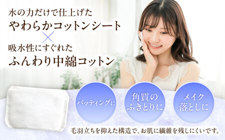 【2回定期便】レジェールパフ(封入タイプ 箱入) 80枚×4個 BKCL002