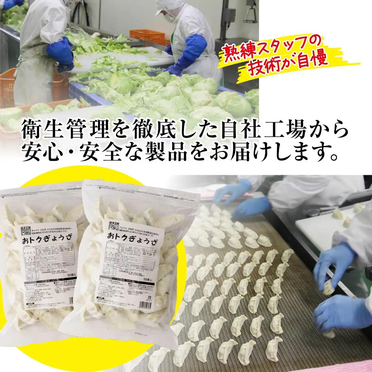 餃子 訳あり 3ヶ月定期便 たっぷり 100個 大容量 冷凍餃子