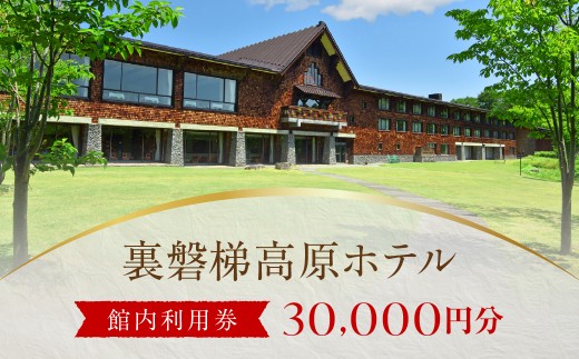 裏磐梯高原ホテル館内利用券（30,000円）【ふるさと納税 人気 おすすめ ランキング 裏磐梯高原ホテル ギフト クーポン ホテル利用券 宿泊 お祝い 記念 檜原湖 五色沼 裏磐梯 福島県 北塩原村 送料無料】 KBD004