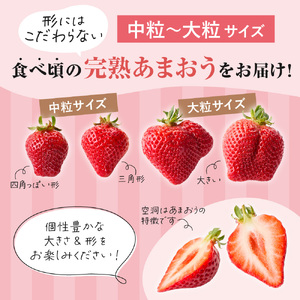 【先行予約】オーガニックあまおう「いせいちご」2パック(280g×2) _HA1116 | あまおう いちご