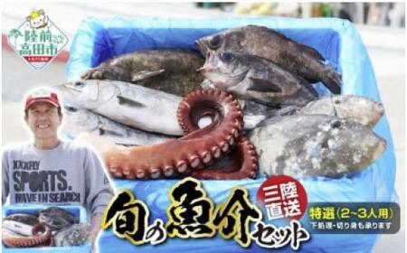 【ふるなびWEEK対象】【陸前高田市の海産物を満喫】 豪華！ お楽しみセット ＼海／ 【うに・いくら・鮮魚・サーモン・かに・ホヤ ・海藻 など】FN-Limited-PR