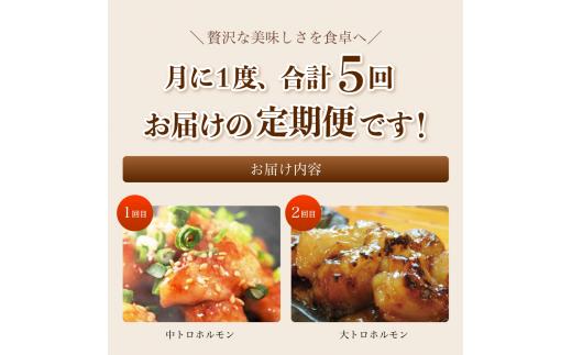 【 ５回定期便 】 幸福亭 ホルモン定期便 5回 毎月 中トロホルモン 大トロホルモン 丸腸 もつ鍋（辛まろ） もつ鍋（鶏まろ） 人気 西京味噌 味噌漬け 味噌焼き 中トロ 大トロ ホルモン モツ 鍋