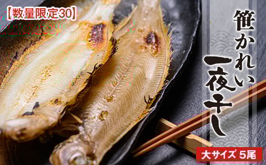 
            笹かれい一夜干し（ササカレイ、ヤナギムシカレイ）大サイズ 5尾セット　海鮮 魚介 魚介類 カレイ 一夜干し 150g～ 5尾 セット 冷凍　UO00065
          