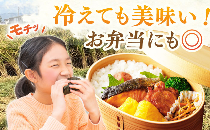 令和7年産 ももちゃんちのお米 さがびより 玄米 30kg【ももさき農産】 [HCG001]
