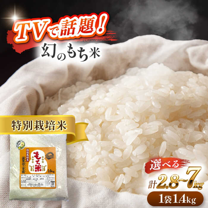 【ふるさと納税】＼選べる内容量／ もち米 愛知県産滋賀羽二重糯 2.8kg～7kg 羽二重餅 特別栽培米 もち米 ご飯 愛西市 ／株式会社TONORI[AECT001]