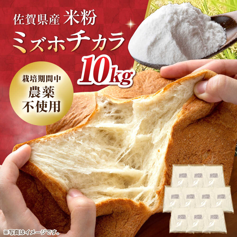 【ふるさと納税】【先行予約】栽培期間中 農薬・化学肥料不使用 ミズホチカラ 米粉10kg（1kg×10袋） /鶴ノ原北川農園[UDL033]