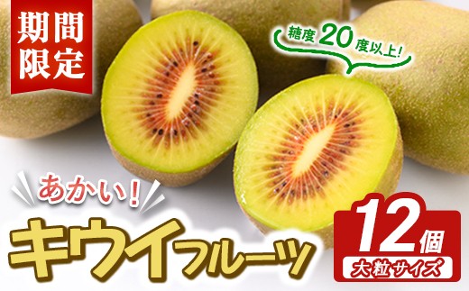 
                  ＜先行予約受付中！2026年10月以降順次発送予定＞茨城県産 あかいキウイ 化粧箱12個入り キウイ キウイフルーツ 果物 フルーツ 青果物 【こばしファーム】【ho1549】
                