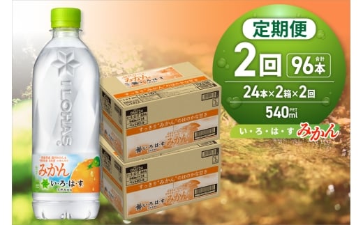【２ヶ月定期便】い・ろ・は・す みかん　540mlPET×48本｜コカ・コーラ 飲料 ドリンク 飲み物 水 北海道 札幌市