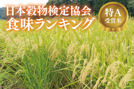 【全6回定期便】＜毎月＞ ★先行予約 10月より順次発送予定★ 山﨑観光農園のお米 とちぎの星 白米 5kg（合計 30kg）｜栃木県 益子町 ふるさと納税 お米 米 白米 精米 5kg 令和7年産 