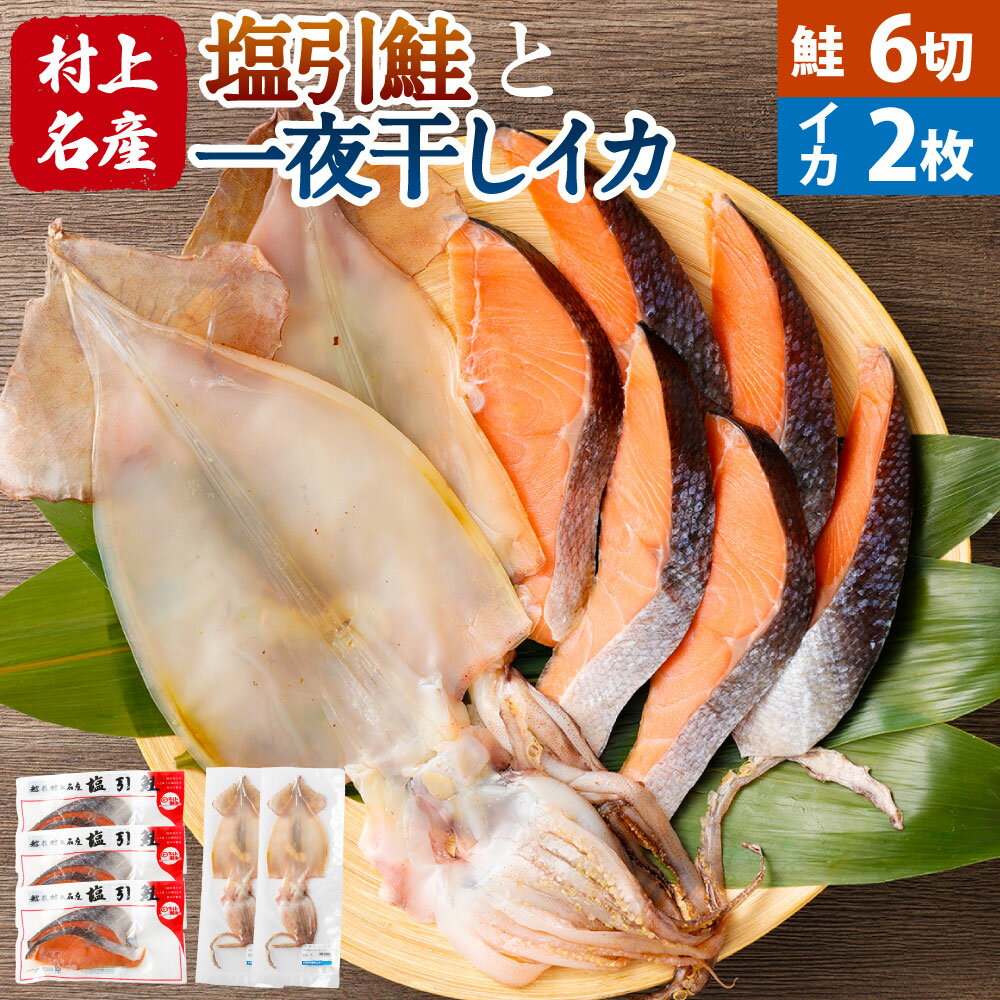 【ふるさと納税】村上名産 塩引鮭 6切 一夜干しイカ 2枚 セット 塩引き鮭 鮭 切り身 シャケ さけ サケ 焼き魚 魚 一夜干し 魚介類 国内産 国産 新潟県 村上市 越後村上名物 1025005