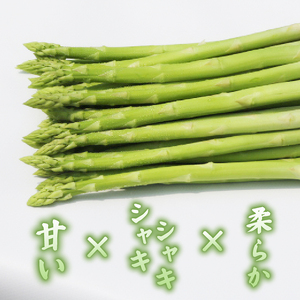 【先行受付】アスパラガス 京都 2026年産 1kg L～2Lサイズ 京都府 アスパラ